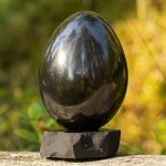 shungite egg present