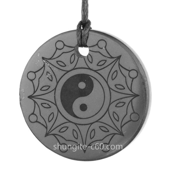 Yin Yang shungite pendant raw black stone