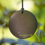 shungite pendant emf protection circle