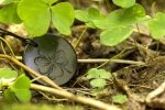 shungite Clover engraved