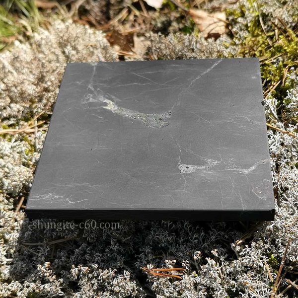 shungite tile unpolished