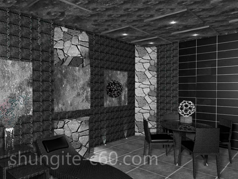 shungite room in medicine