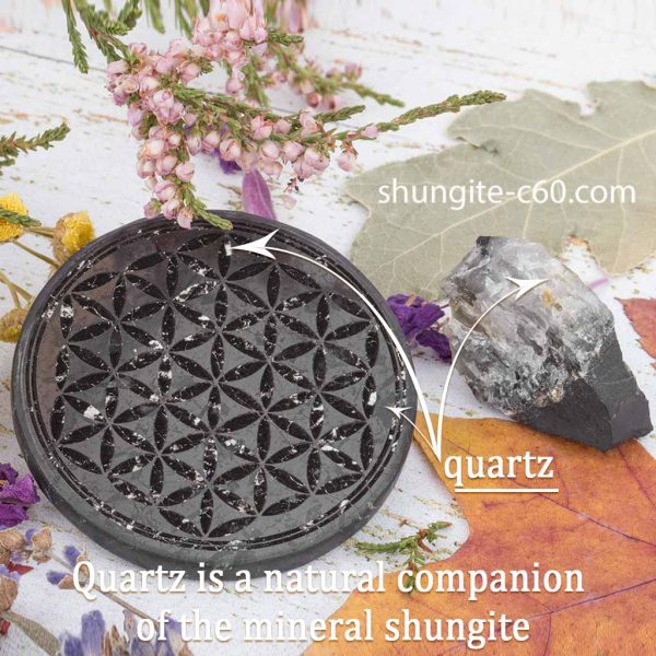 shungite disk