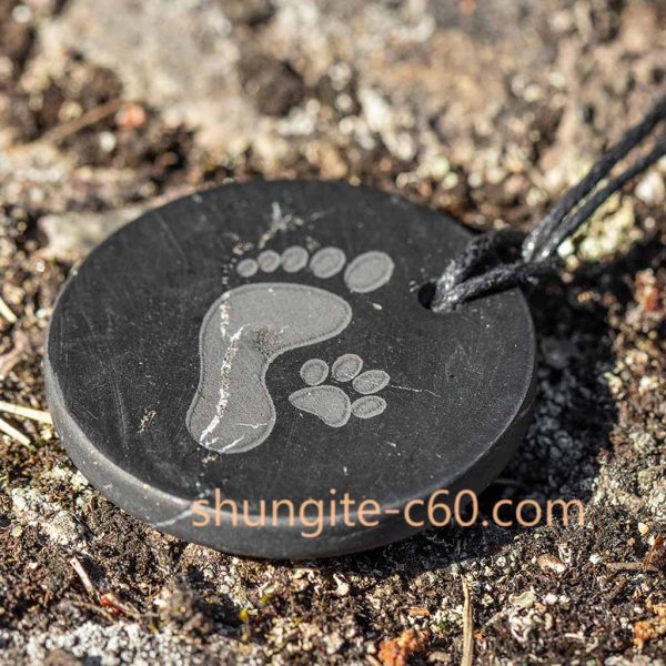 loyal friend pendant of shungite