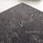 shungite plate emf