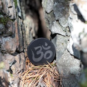 shungite emf shield plate Ohm