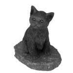 shungite stone cats