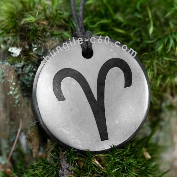 shungite pendant aries