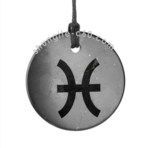 shungite zodiac pendant pisces for EMF protection