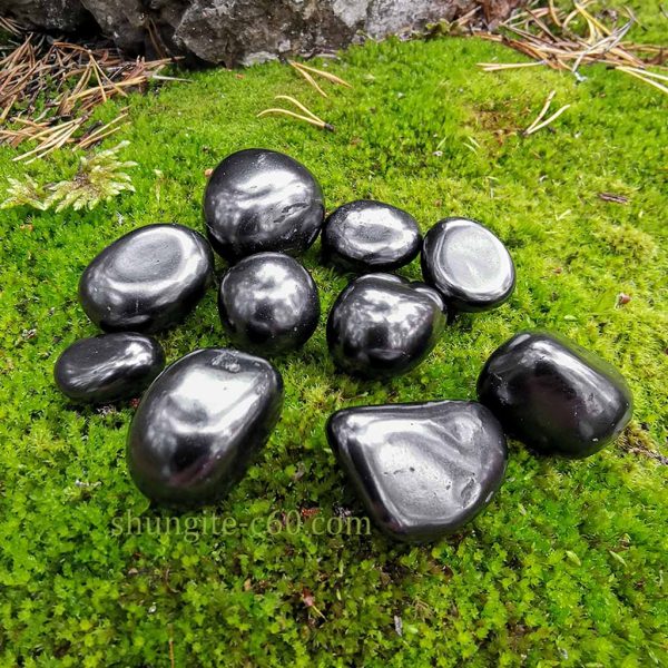 shungite smooth stone