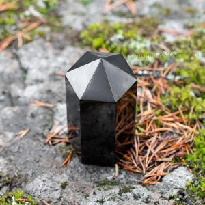 shungite obelisk 6 point