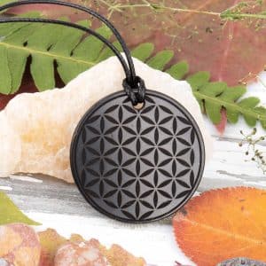 shungite Flower of Life pendant charm