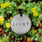 shungite lucky pendant