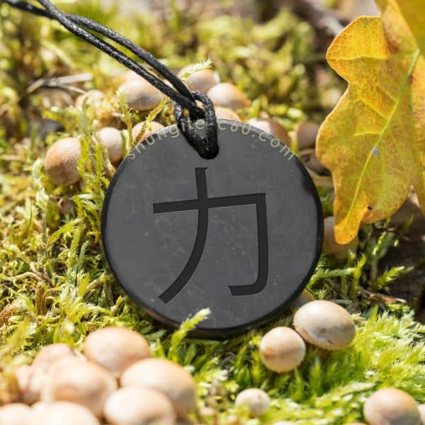 shields of strength necklace with chinese character
